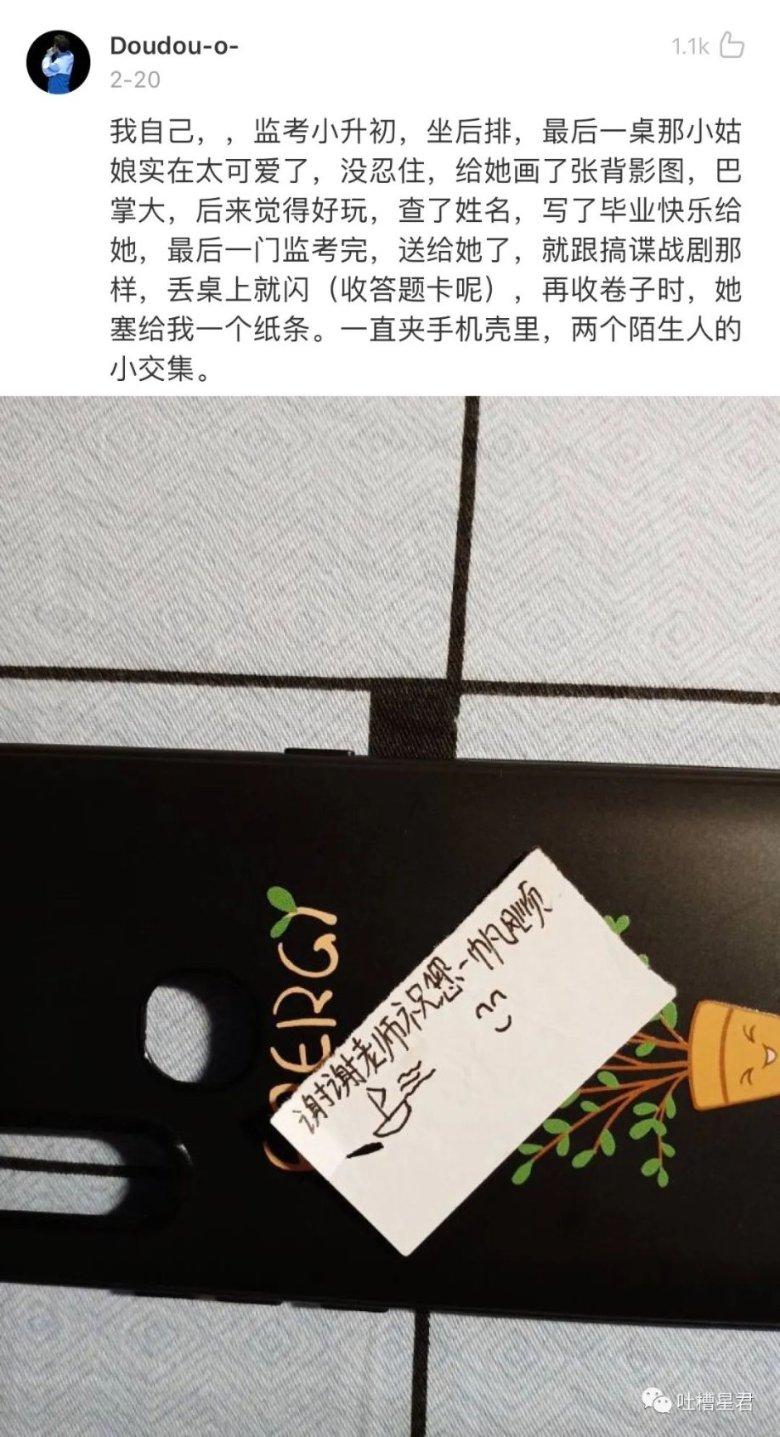 萌即正义,收容所里的猫咪被招募为警员,走马上任成为当地明星猫
