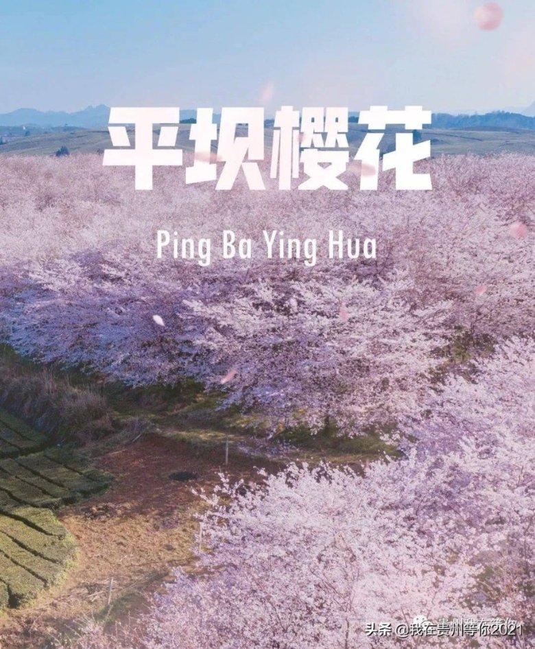 渝湘高速黔江至秀山段大雪 沿线交通管制