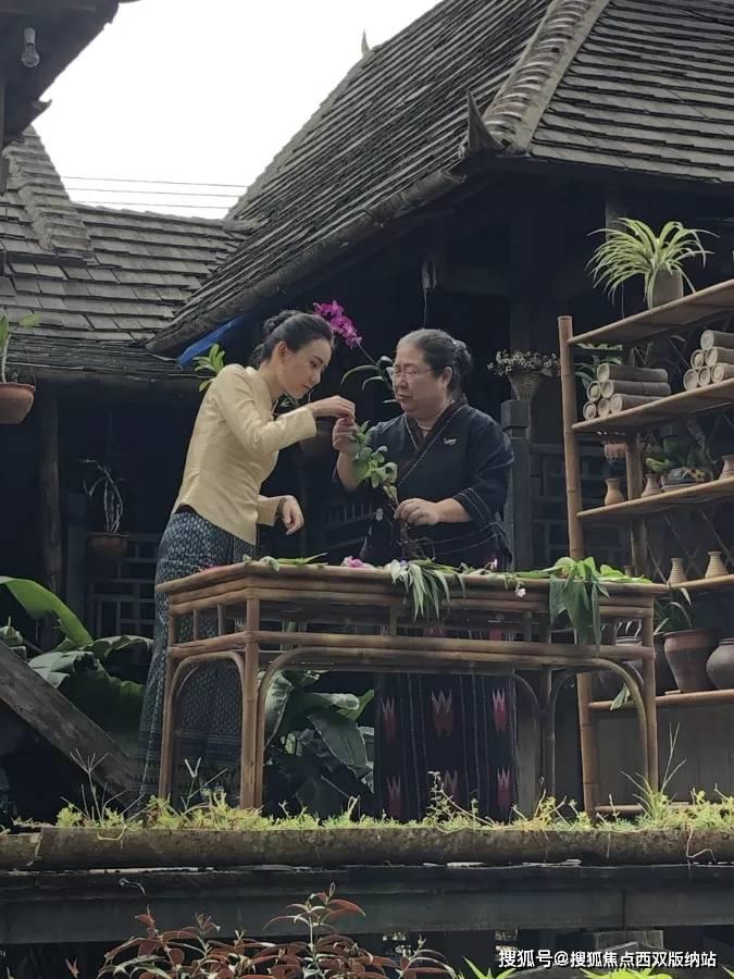 在限电限压的宿舍想做饭,用哪些厨具省钱又方便?—全面问答,满足你的求知欲望