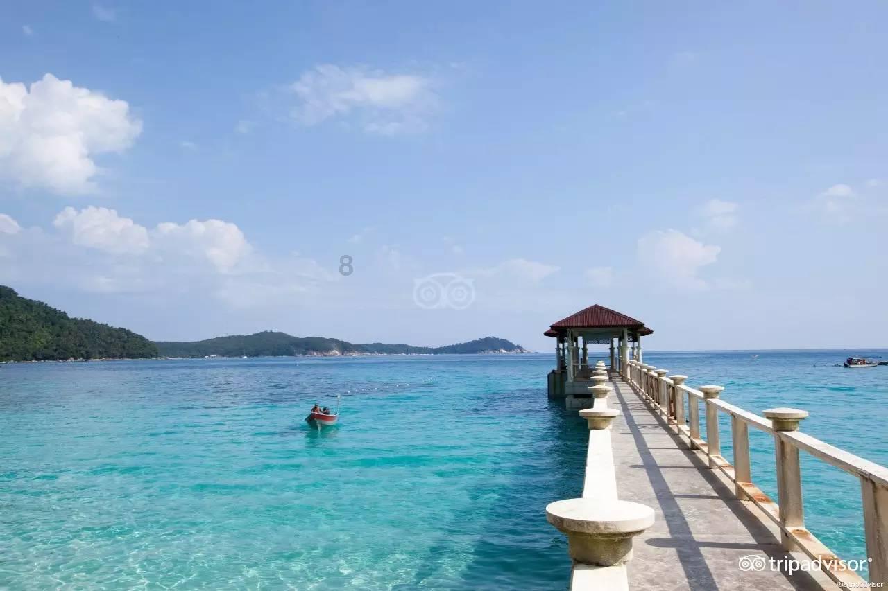逆天!曹圭成无人看防打空门,离谱高出!