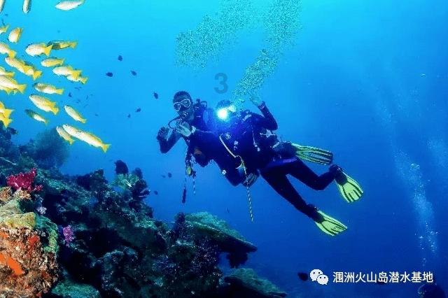 宜动土游戏画面