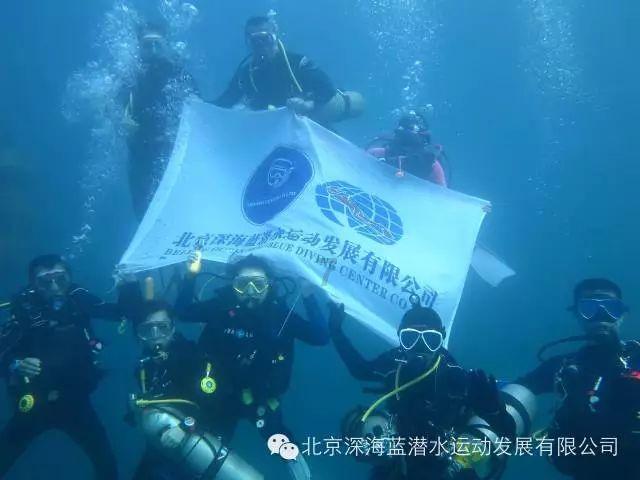 细绣“面子”，精做“里子”！杨浦“一网通办”让政务易办，让群众爱办