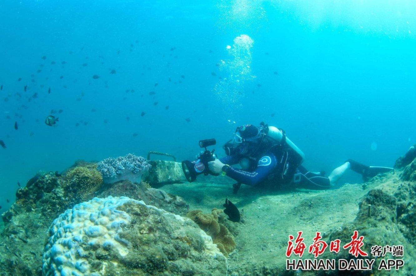 雇人扮演社会名流“导演”拍卖会 几百人被骗2700余万