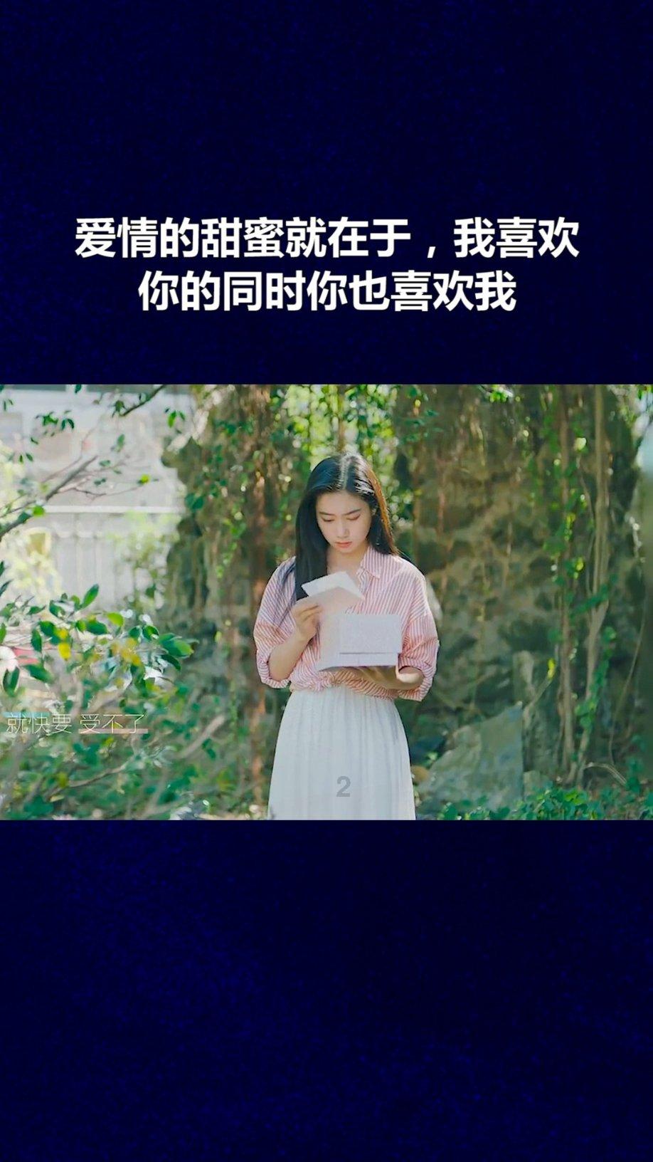 有趣的动物拼图