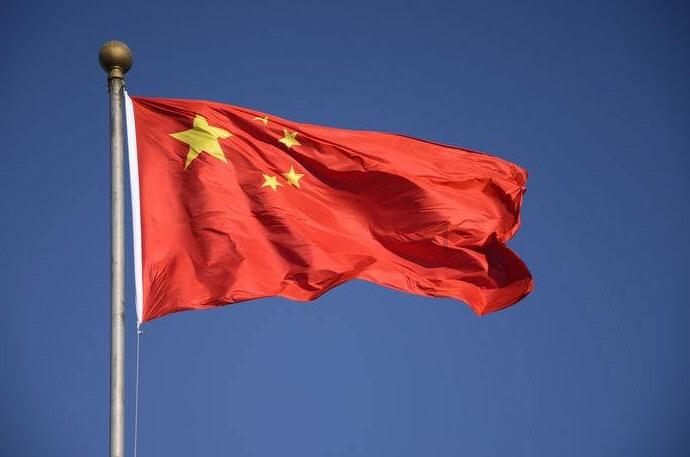 动物帮帮忙保卫家园