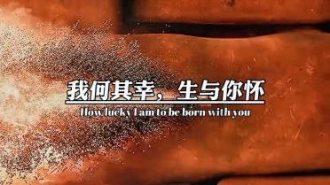 攀登高峰无敌版