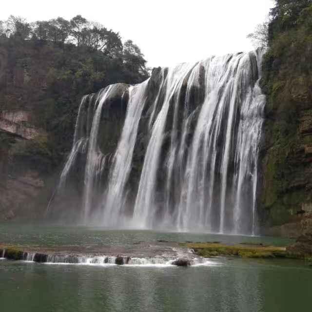 春雨直播app
