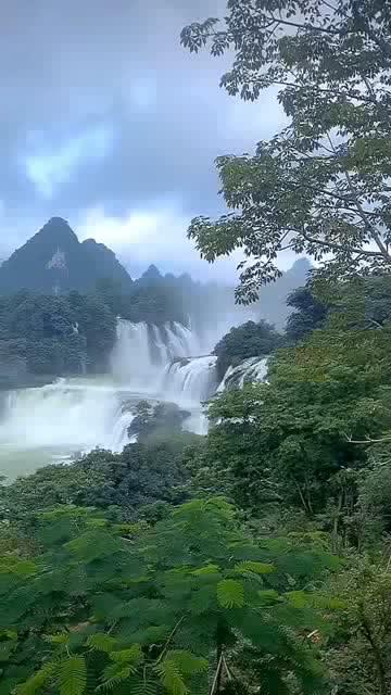 植物大战僵尸3