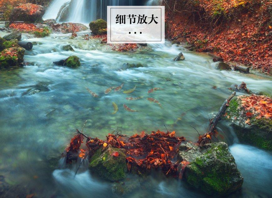 青岛饮料集团拟剥离骑士酒堡，两年前曾收归国有