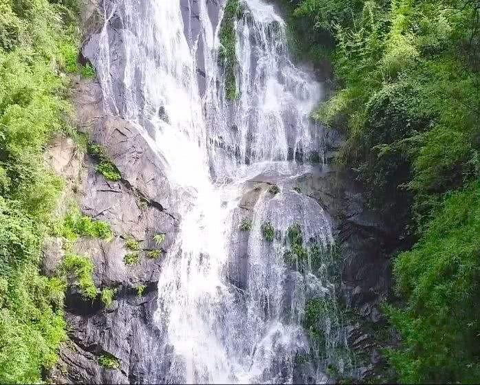 细胞分裂5