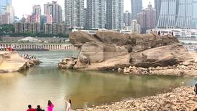 山西襄汾：图书馆里年味足