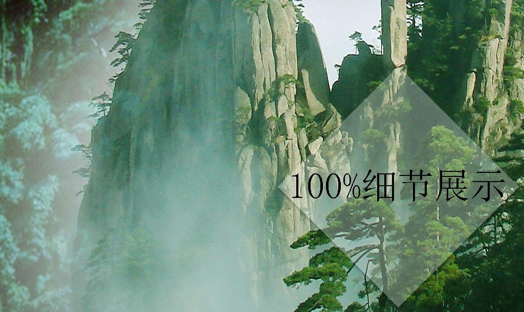 4月1号是不是考驾照游戏画面