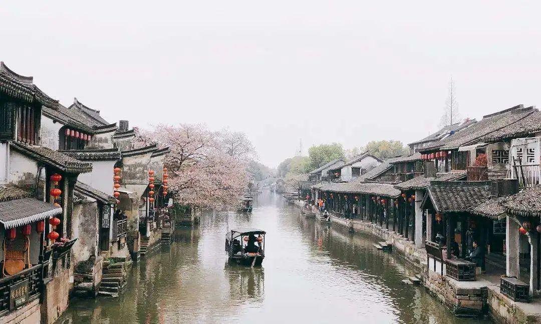 口袋侏罗纪