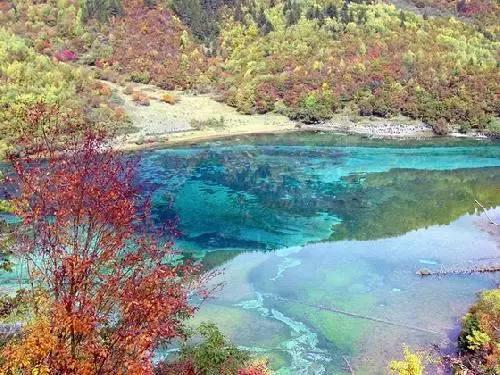 内蒙古四子王旗：京蒙协作激活县域发展新动能